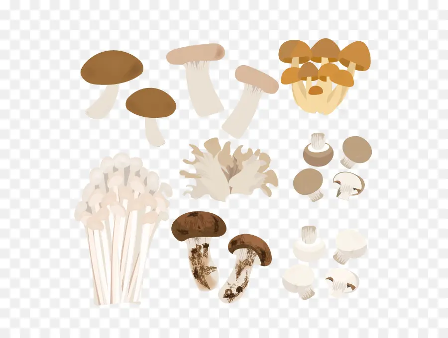 Champignons，Variété PNG