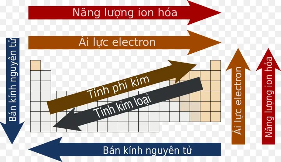 Périodique Tendances，Tableau Périodique PNG