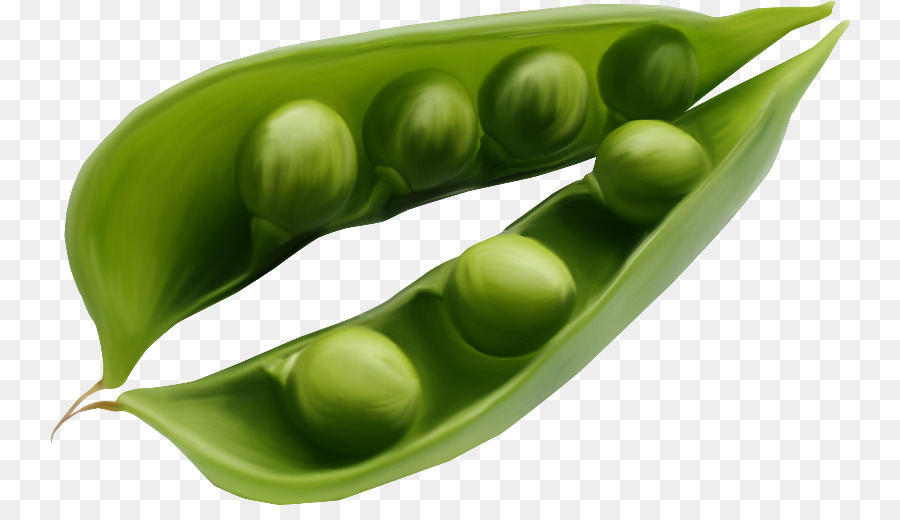 Pois Verts，Cosse PNG