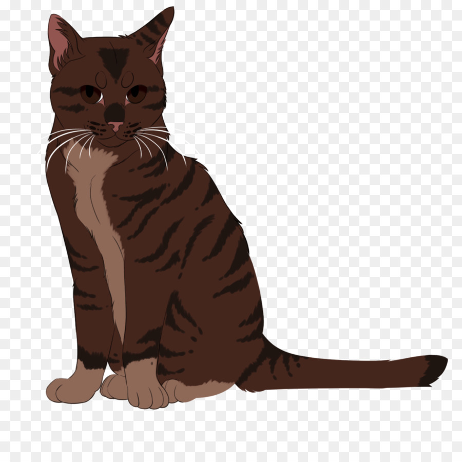 Chat，Animal De Compagnie PNG