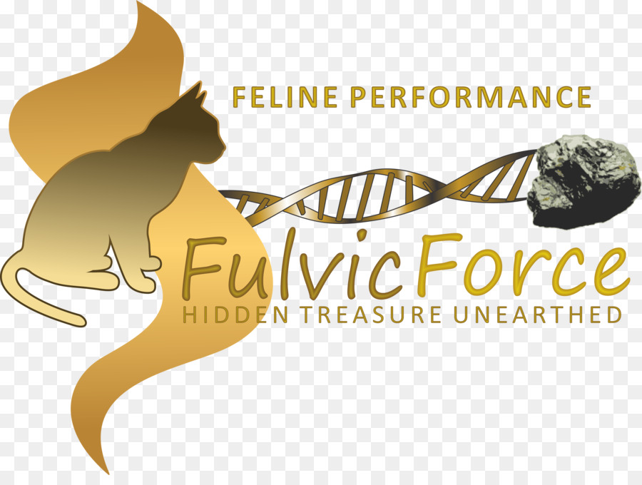 L Acide Fulvique，Les Bovins Hereford PNG