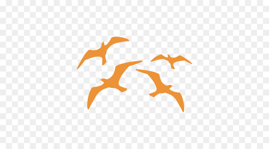 Oiseaux Volants，Silhouette PNG