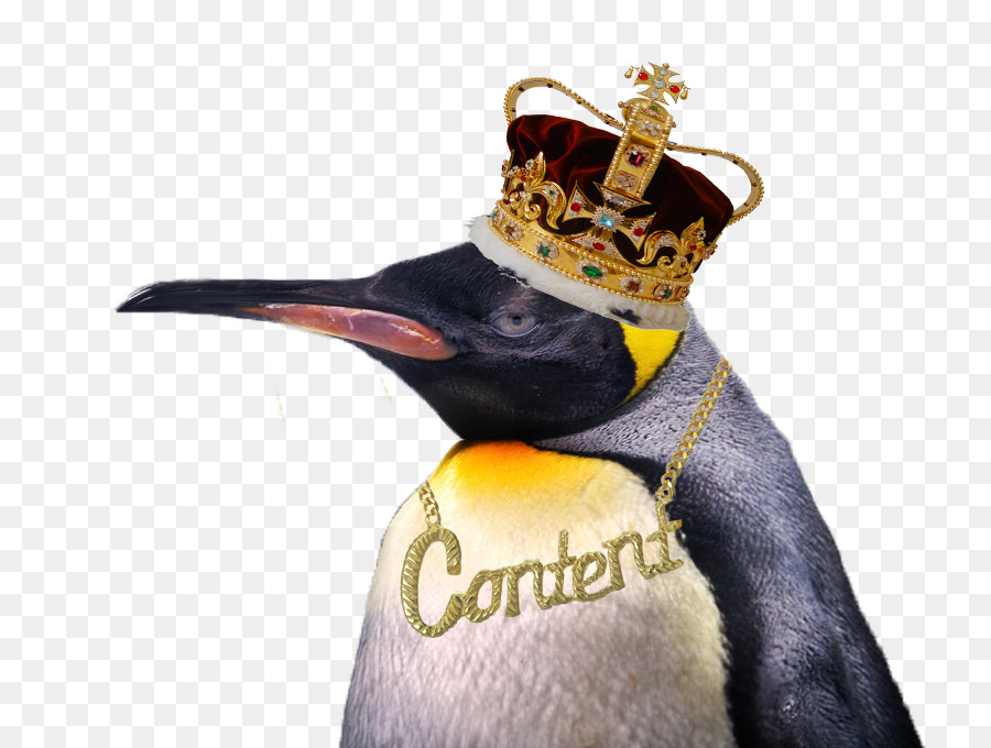 King Pingouin，Cupcake PNG