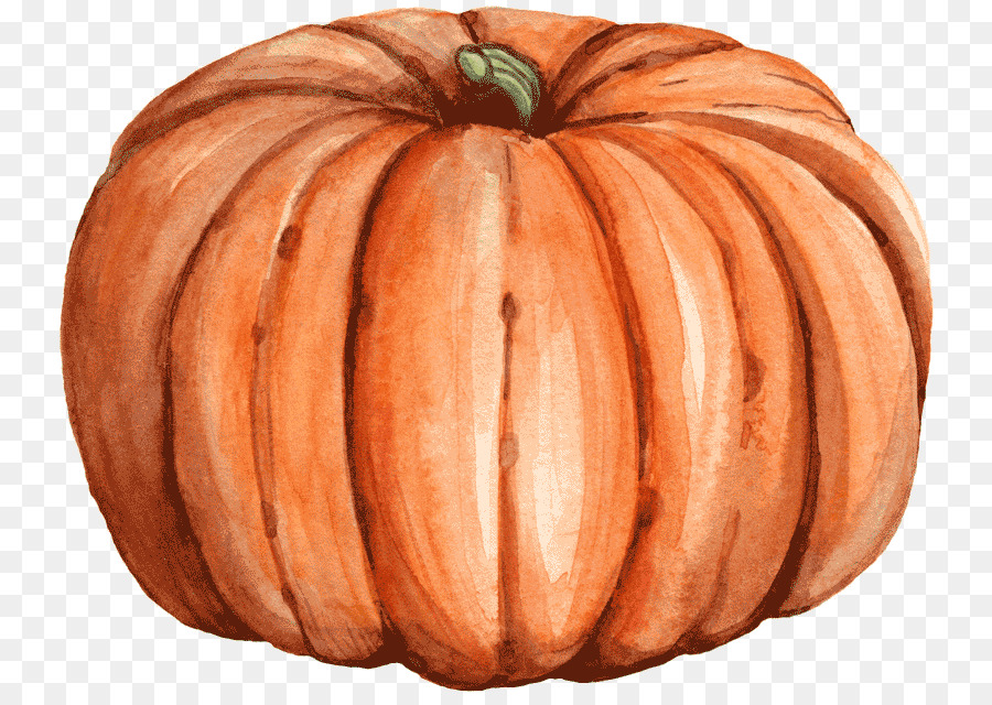 Citrouille，Orange PNG