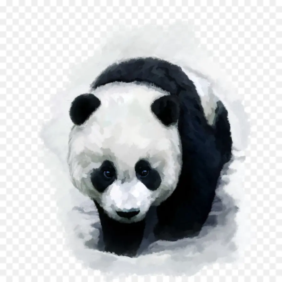 Panda，Ours PNG