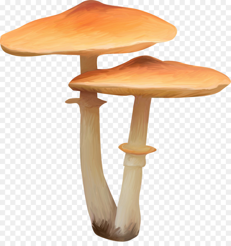 Champignons，Champignon PNG