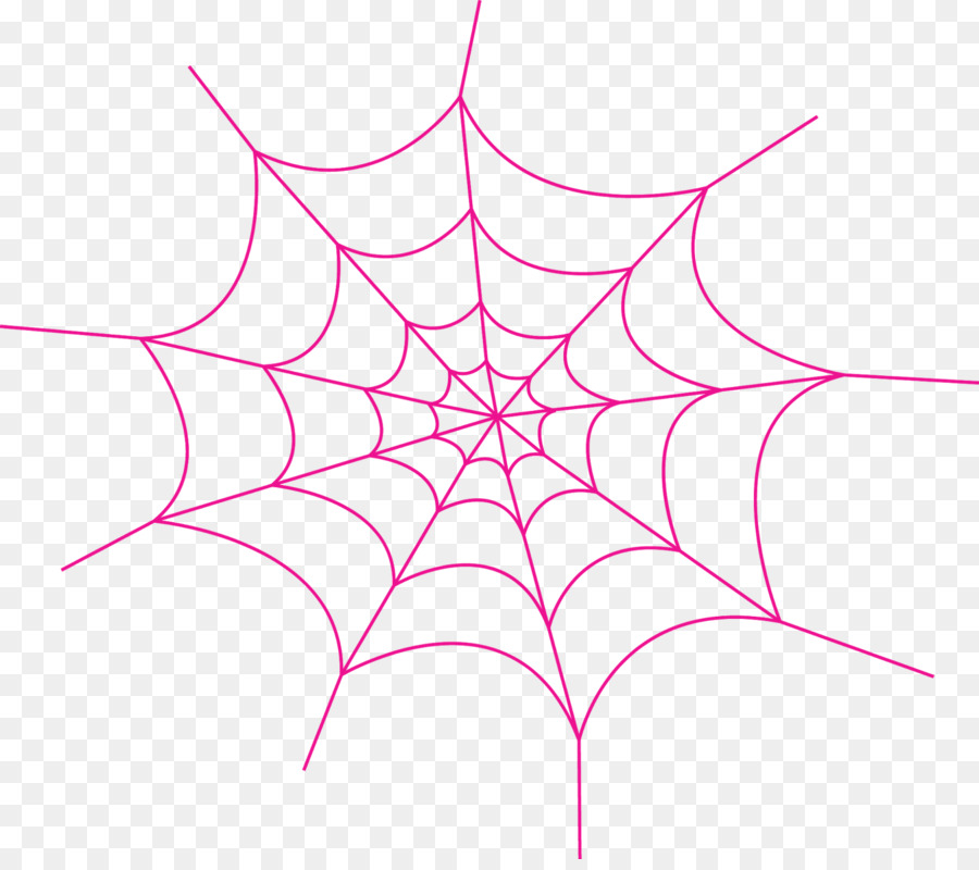 Araignée Sur Web，Arachnide PNG