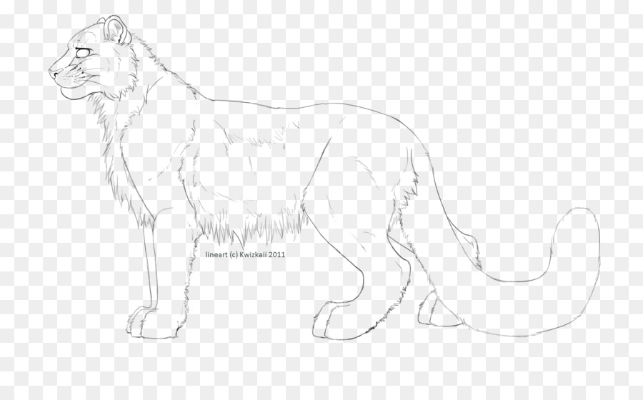 Croquis De Lion，Dessin PNG