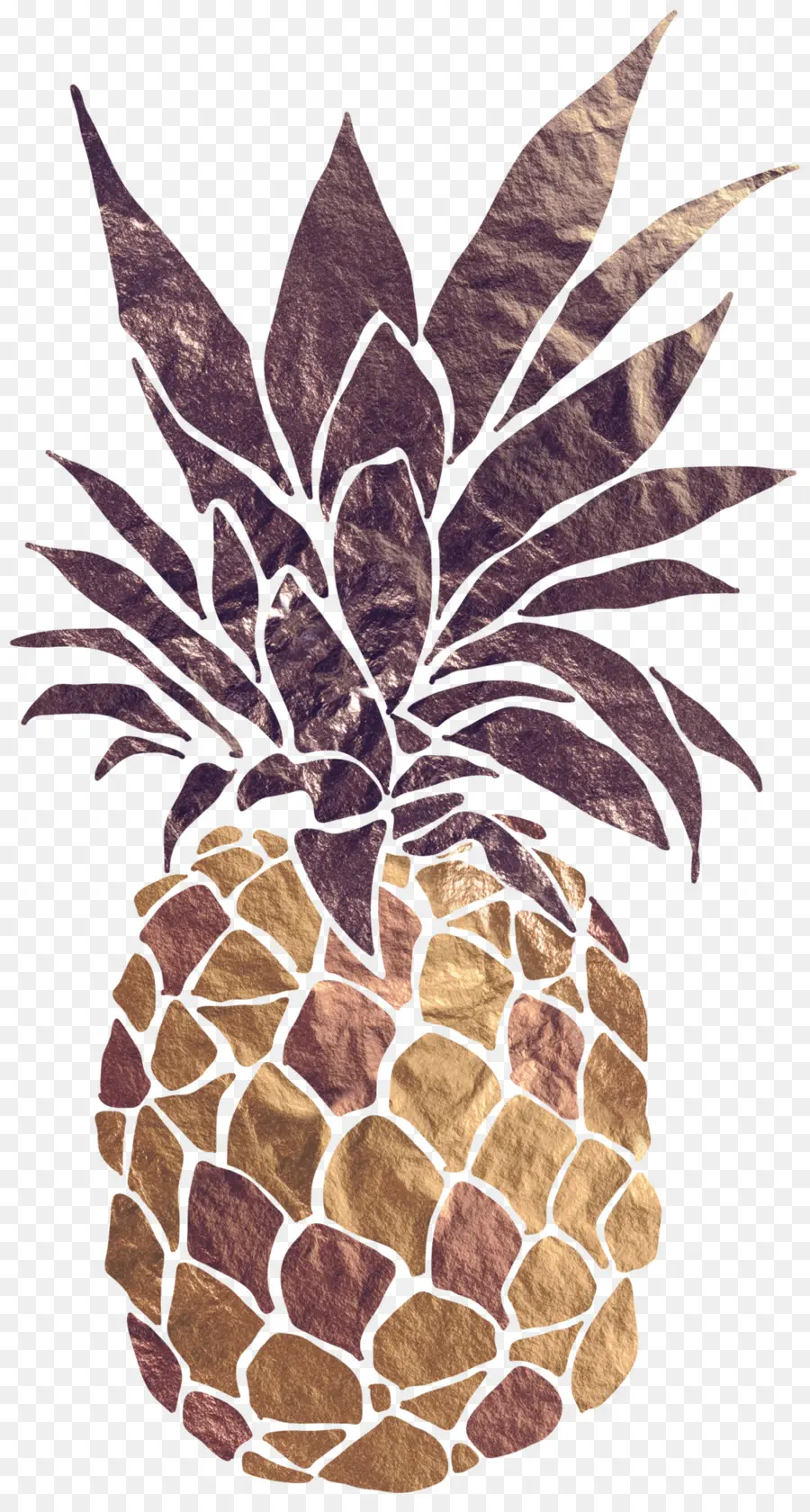 L Ananas，Toile PNG