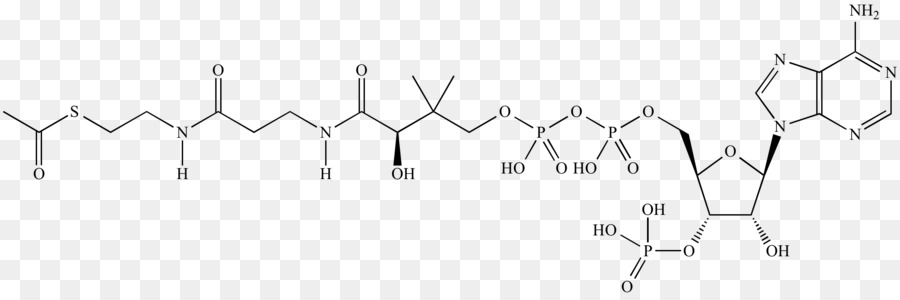 Structure Chimique，Molécule PNG