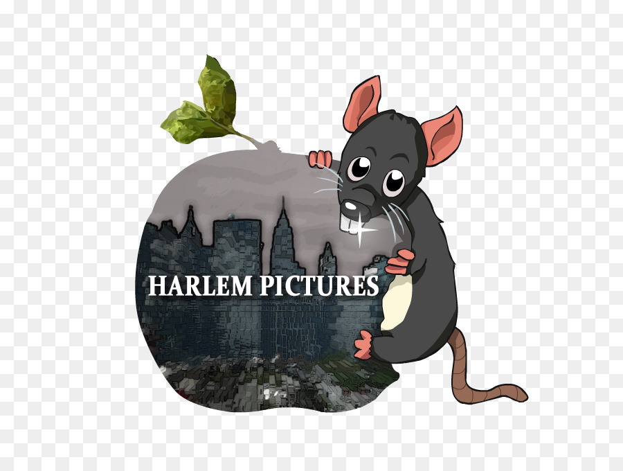 Harlem Photos，Directeur De La Photographie PNG
