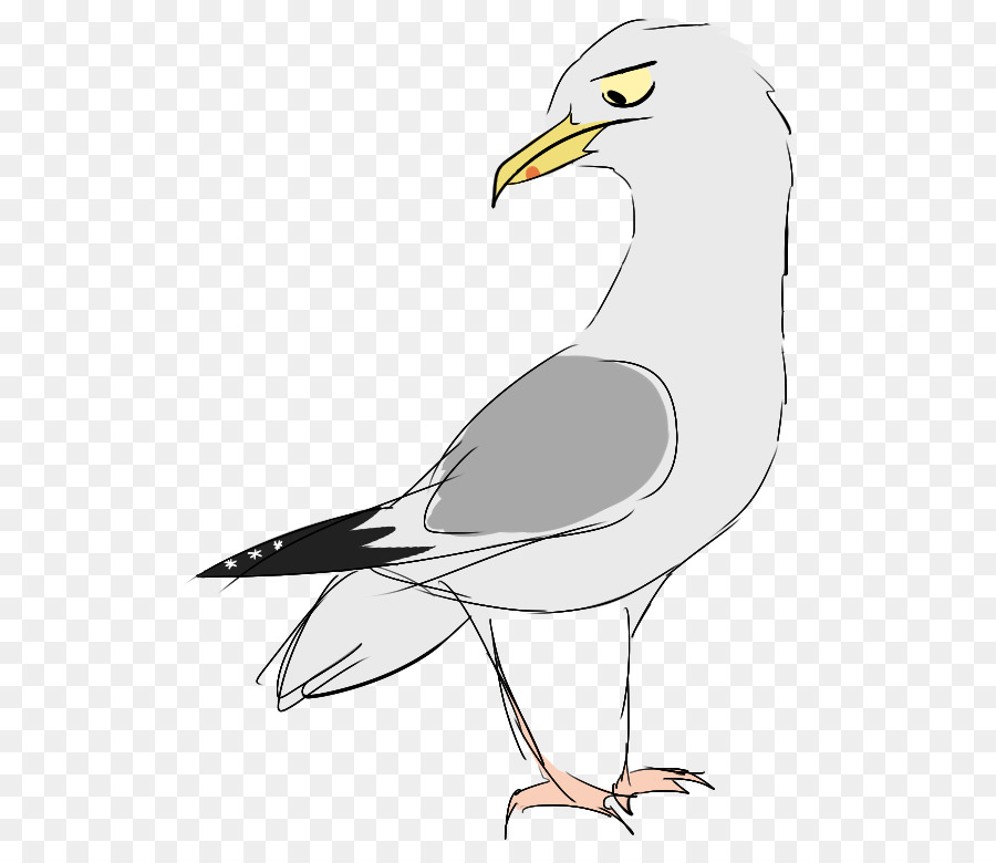 Mouette，Blanc PNG