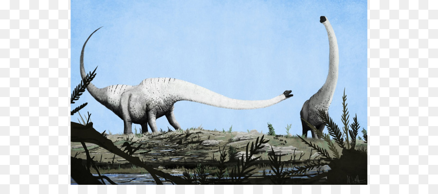 Mamenchisaurus，Dinosaure PNG