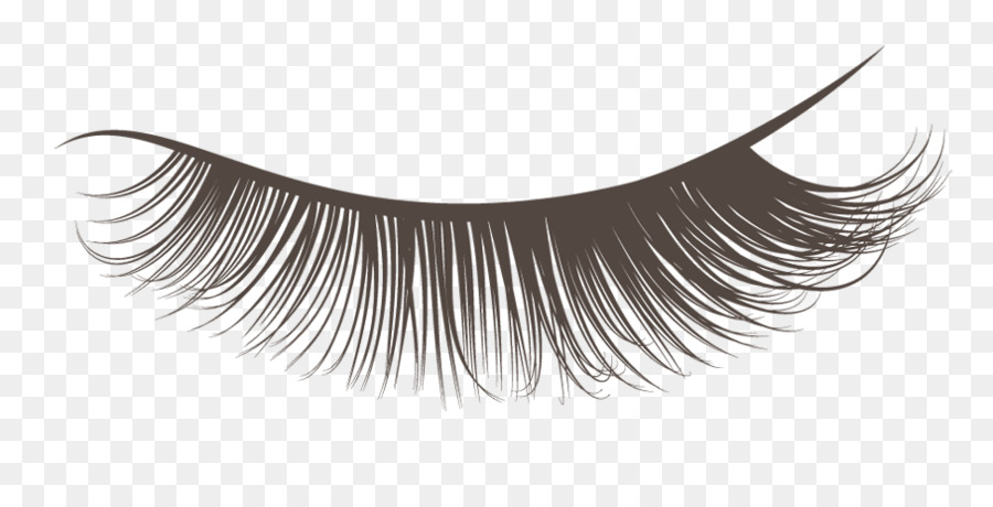 extensions de cils des cils cosmetiques png extensions de cils des cils cosmetiques transparentes png gratuit extensions de cils des cils