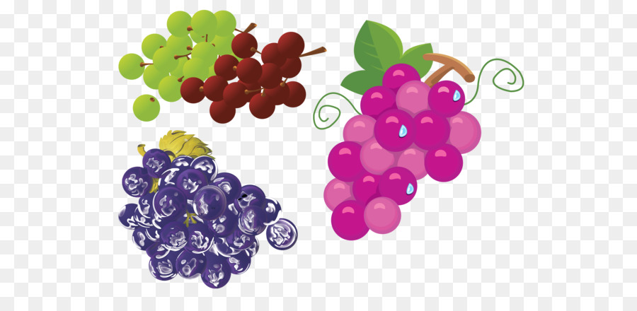 Raisin，Fruits PNG