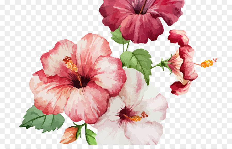 Fleurs Roses，Fleurir PNG