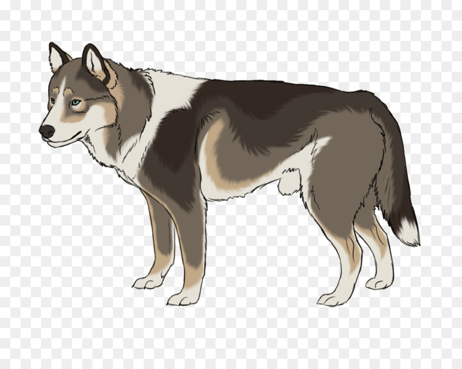 Saarloos Loup，Husky Sibérien PNG