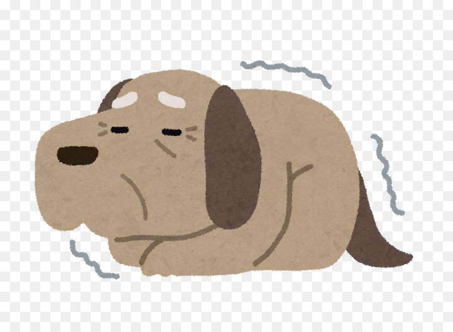 Chien，Nourriture Pour Chien PNG