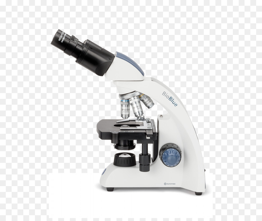 Microscope，Laboratoire PNG