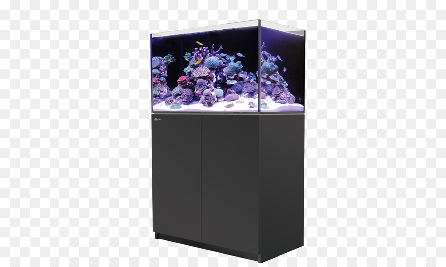 Aquarium，Marin PNG