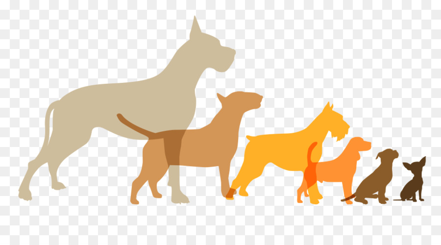 Chiens，Animaux De Compagnie PNG