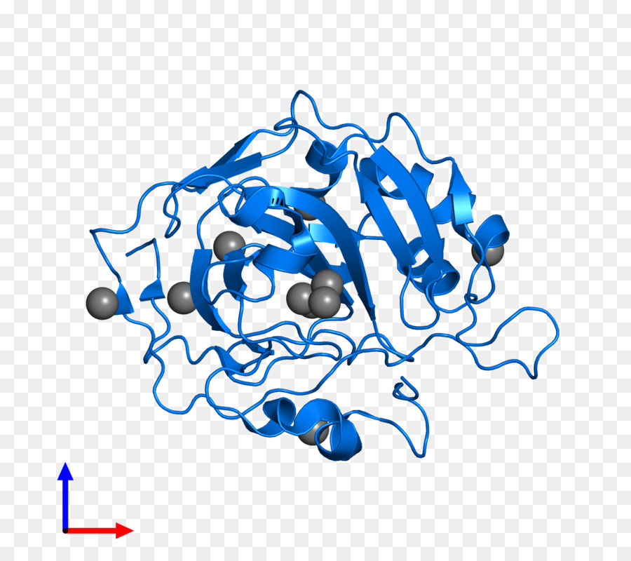 Ligne，Point PNG