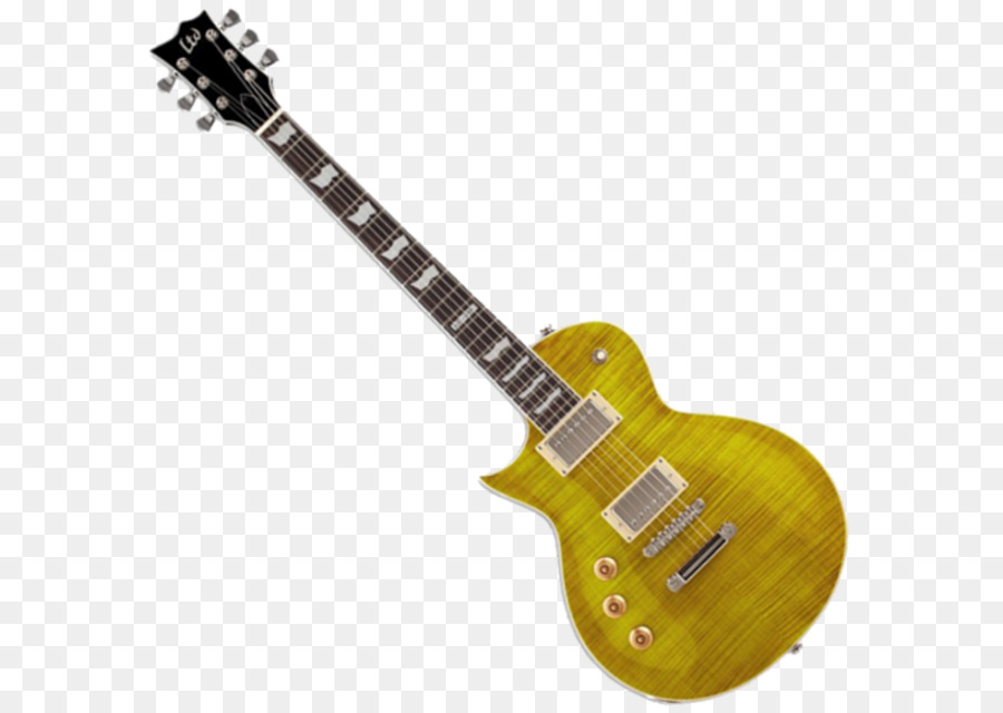 Guitare Double Rose，Cordes PNG