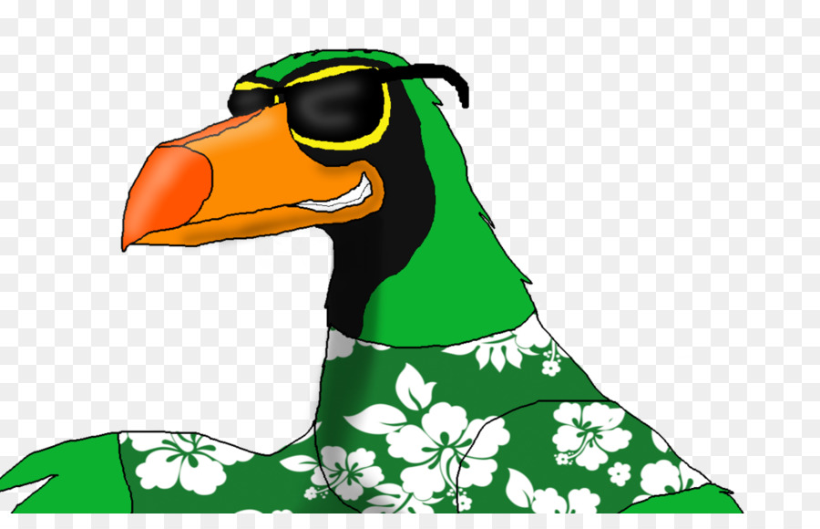 Canard，Vert PNG