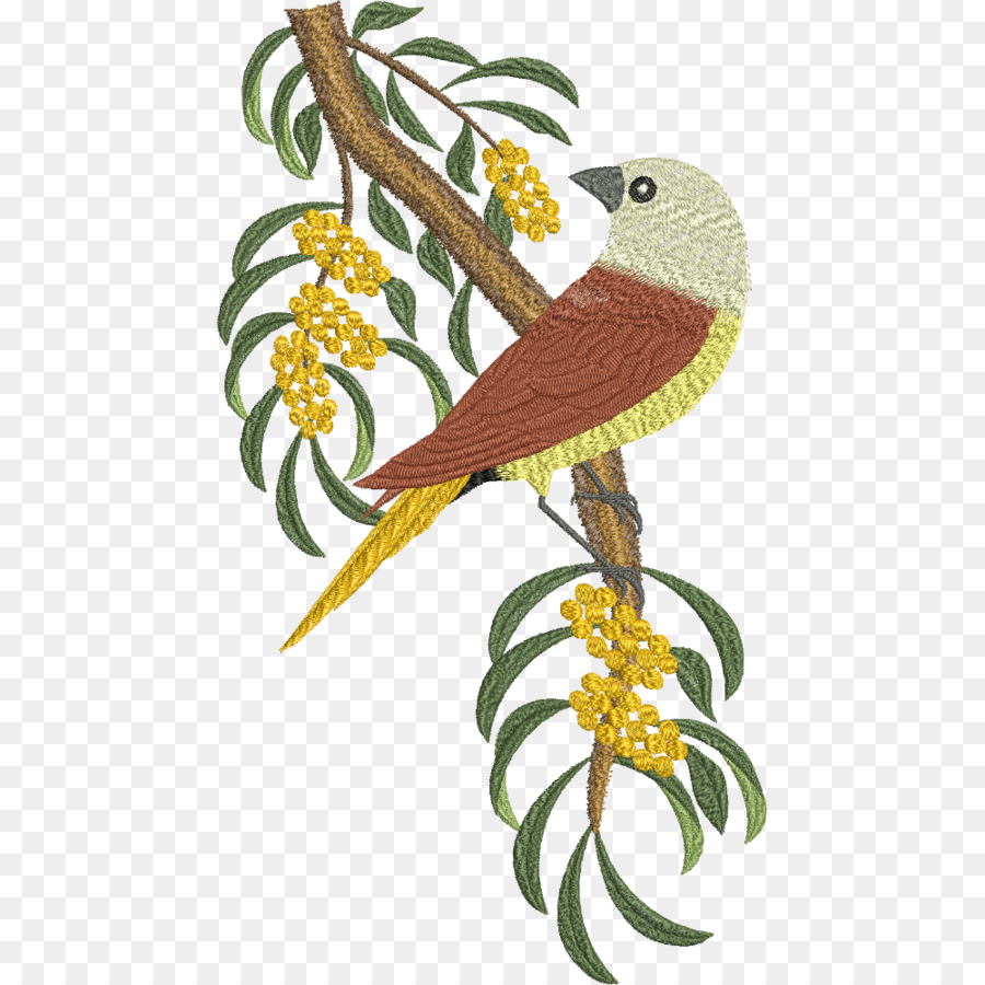 Cacatoès，Oiseau PNG