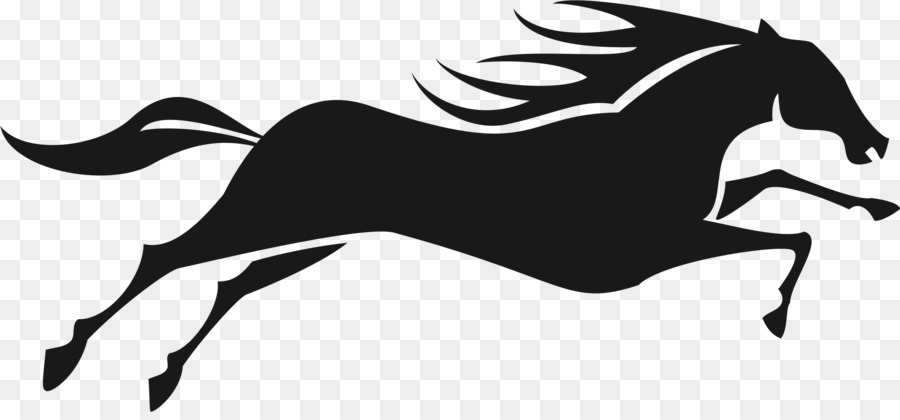 Cheval Noir，Silhouette PNG