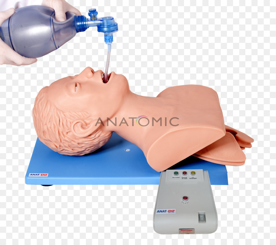 L Intubation Trachéale，De Formation PNG