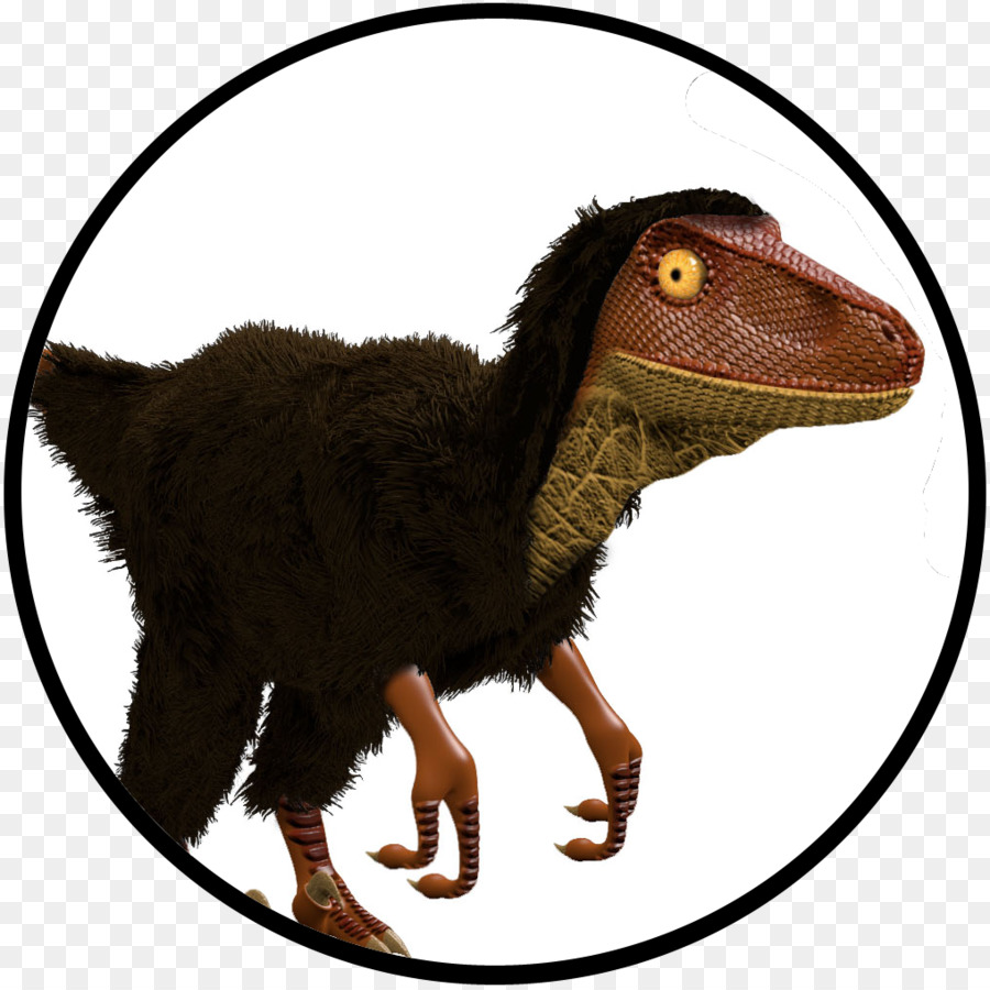 Velociraptor，Cercle PNG