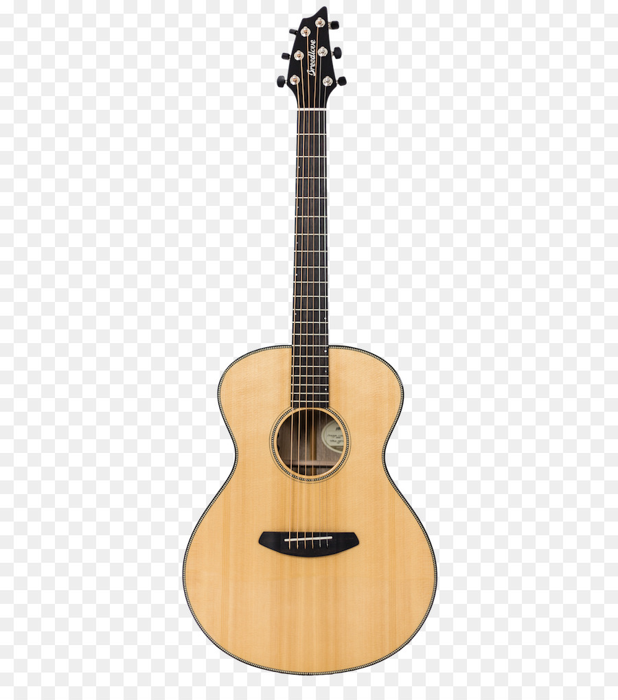 Guitare，Cordes PNG