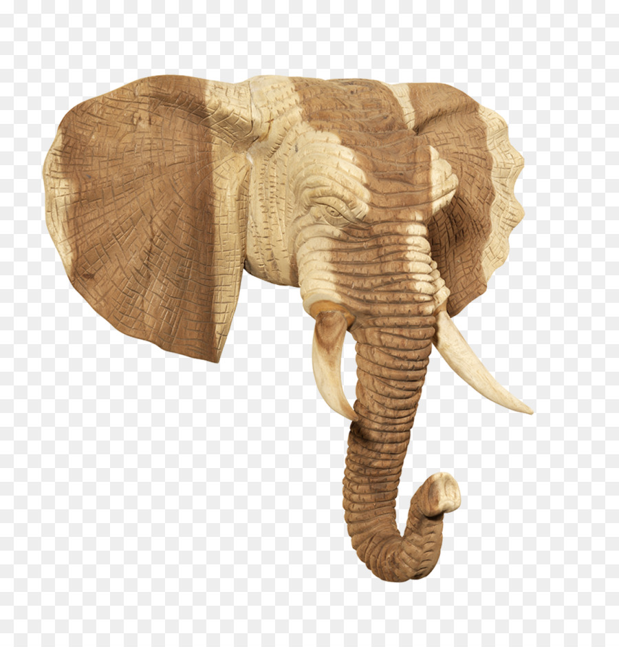 Tête D'éléphant，En Bois PNG