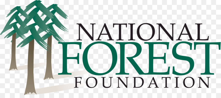 La Forêt Nationale De La Fondation，Six Rivières De La Forêt Nationale De PNG