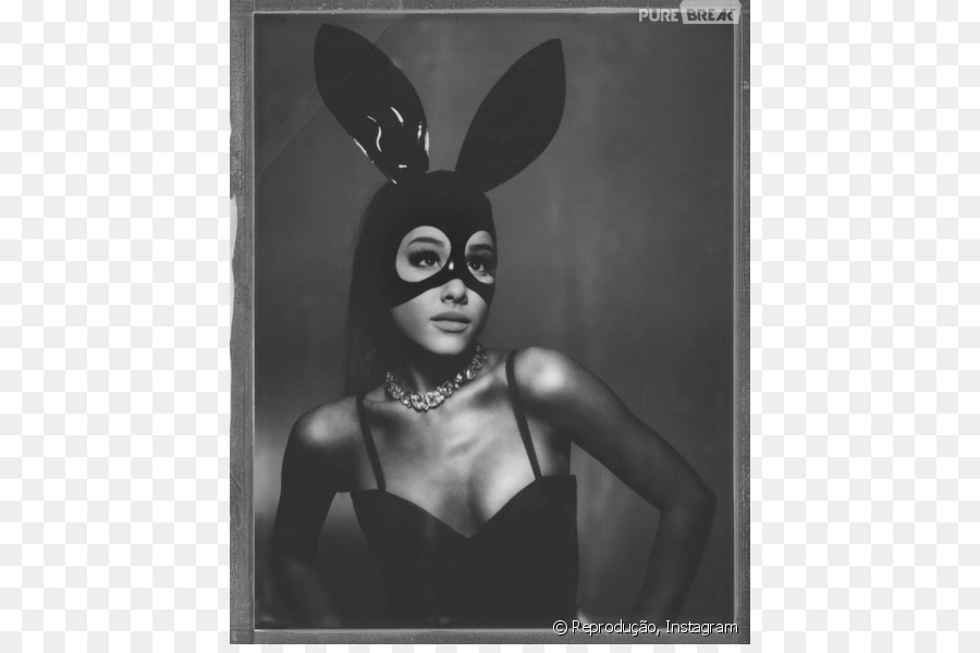 Masque De Femme Au Lapin，Costume PNG