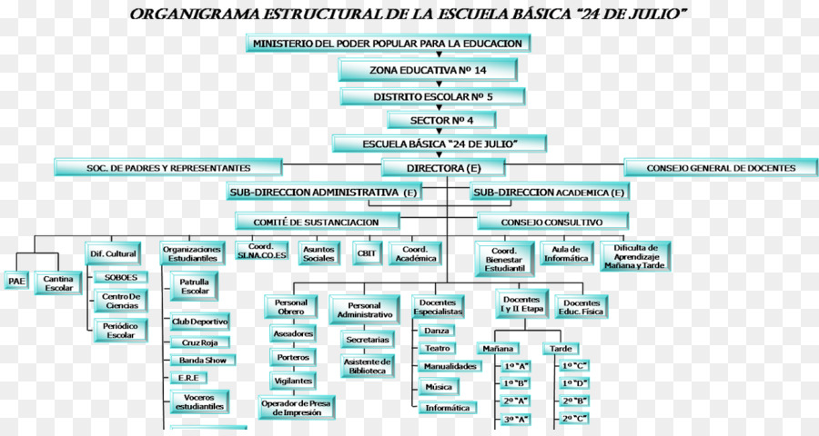 Organigramme，Structure PNG