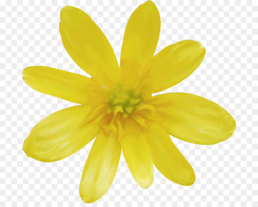 Fleur Jaune，Usine PNG