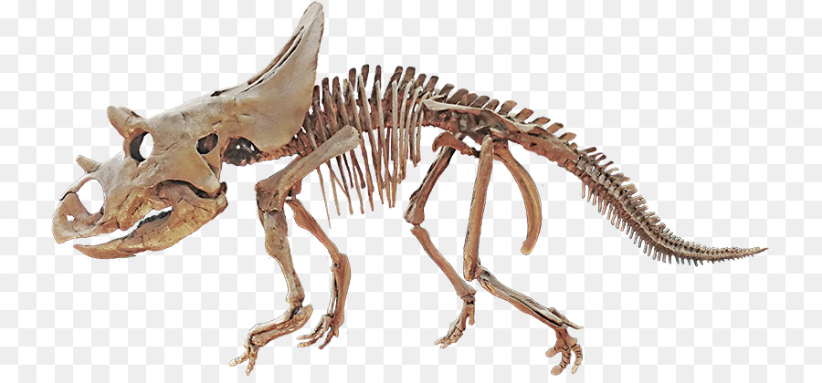 Agujaceratops，La Fin Du Crétacé PNG