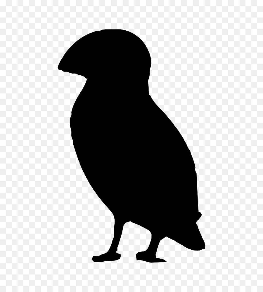 Silhouette D'oiseau，Noir PNG