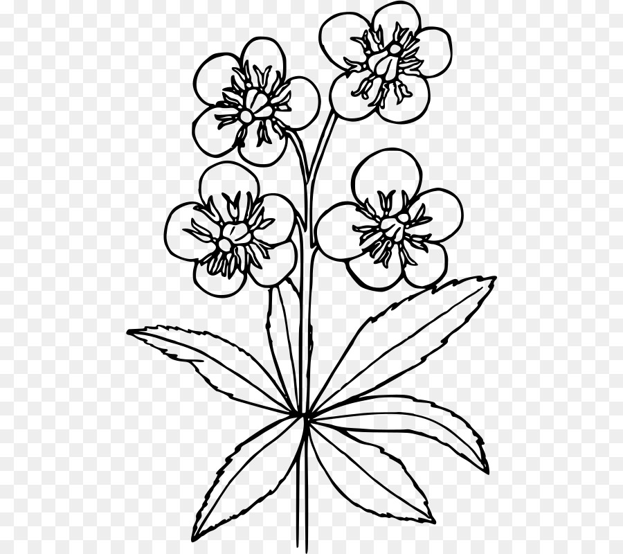 Dessin De Fleur，Noir Et Blanc PNG