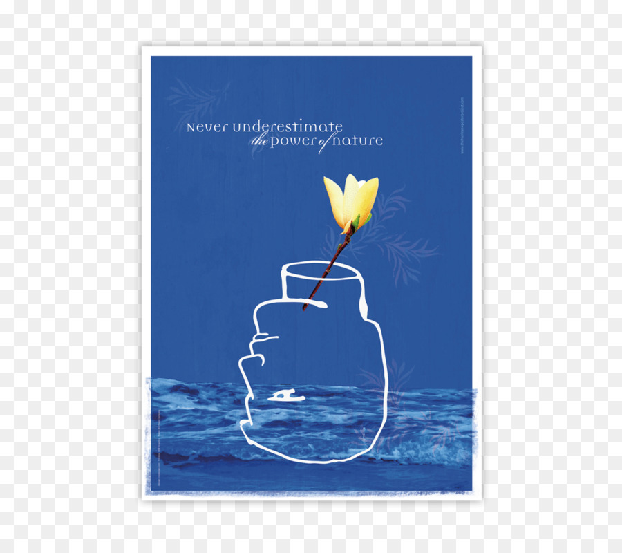 Eau，Fleur PNG