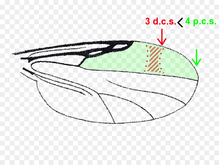 La Conception Automobile，Dessin Animé PNG