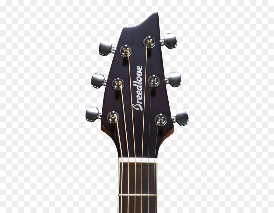 Tête De Guitare，Cordes PNG