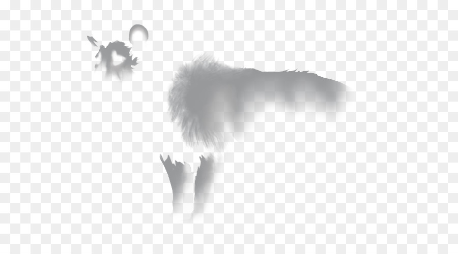 Lion，Blanc PNG