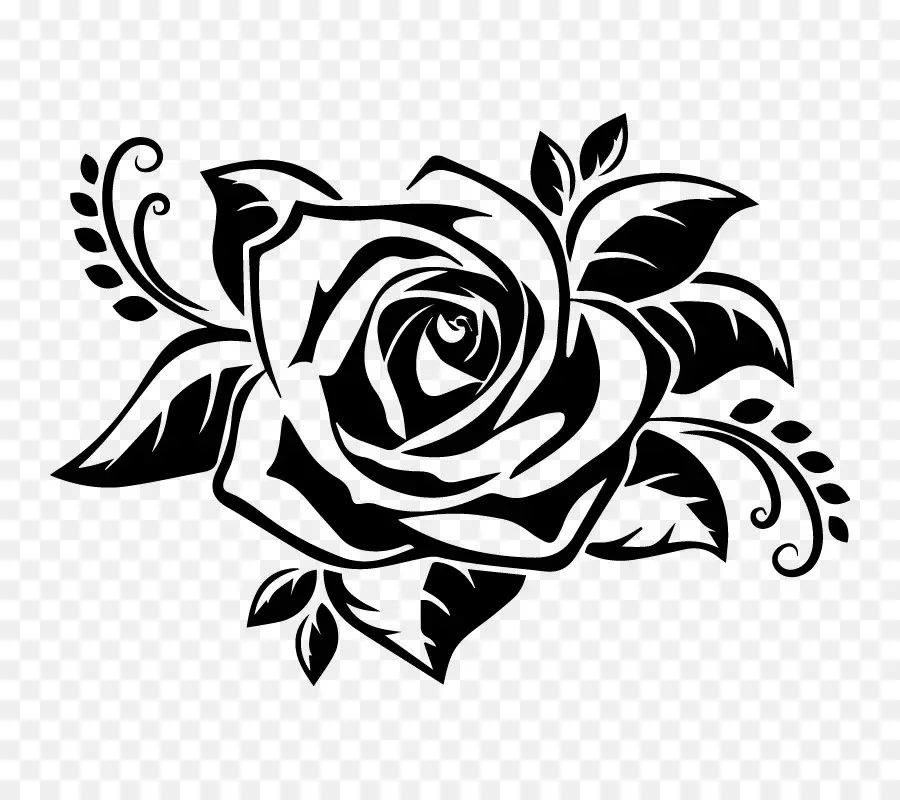 Rose，Floraison PNG