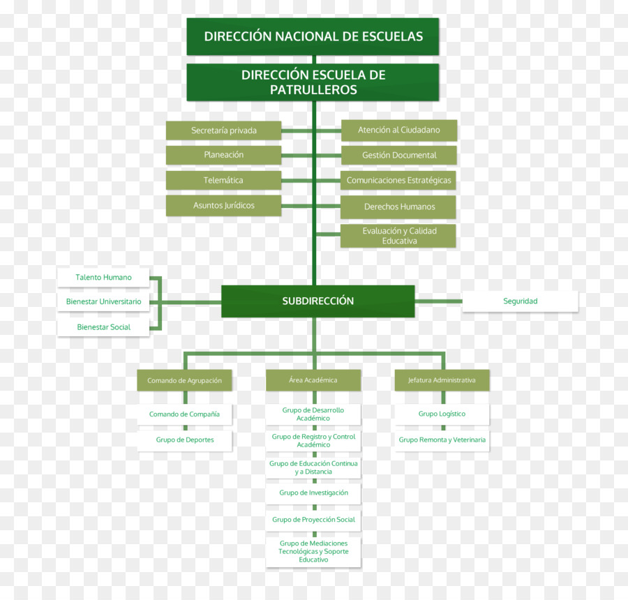 Organisation，Organigramme PNG