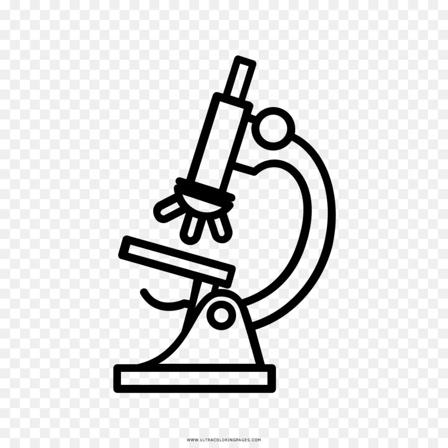 Microscope，Science PNG