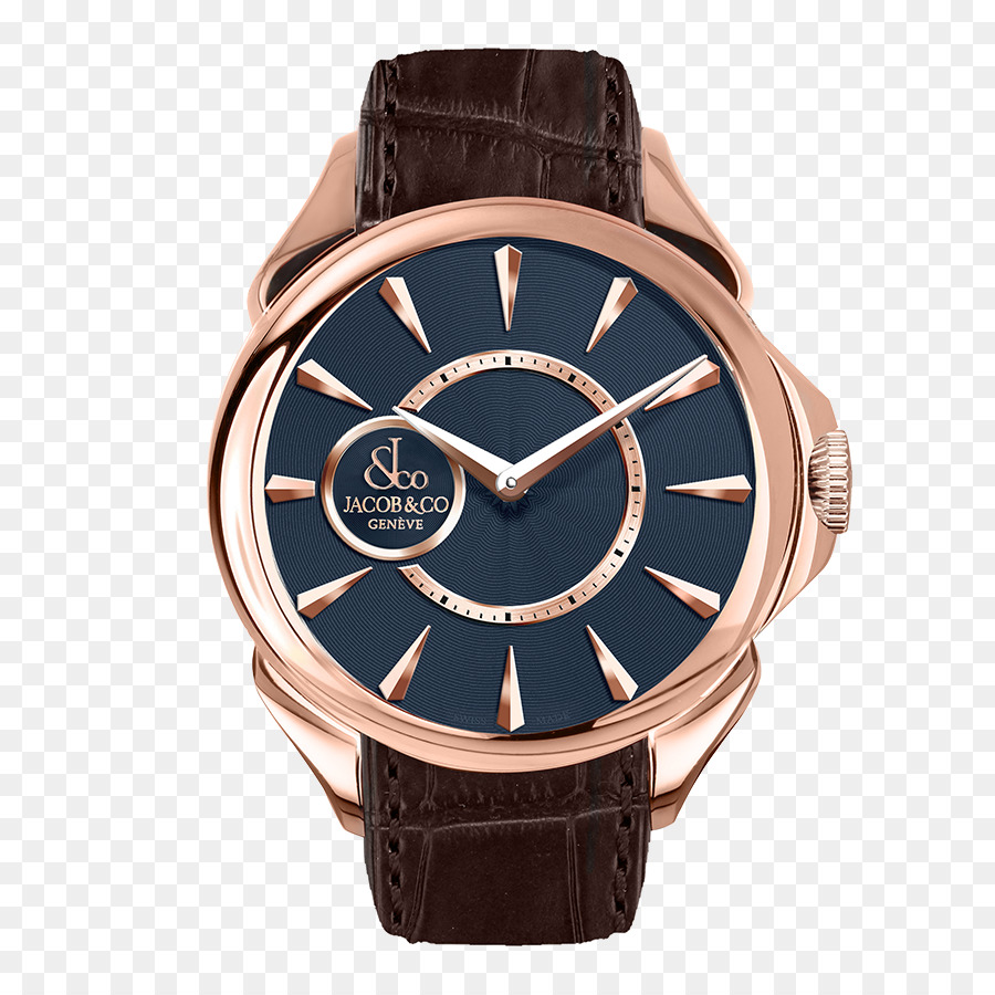 Montres Alpina，Regarder PNG