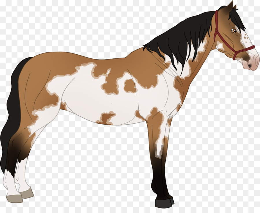 Cheval，équidé PNG